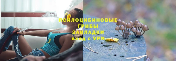 бутират Надым