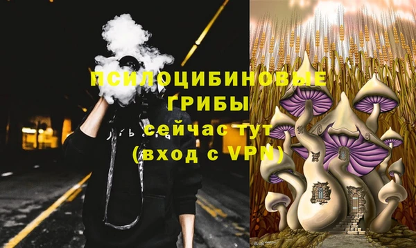 мет Михайловск